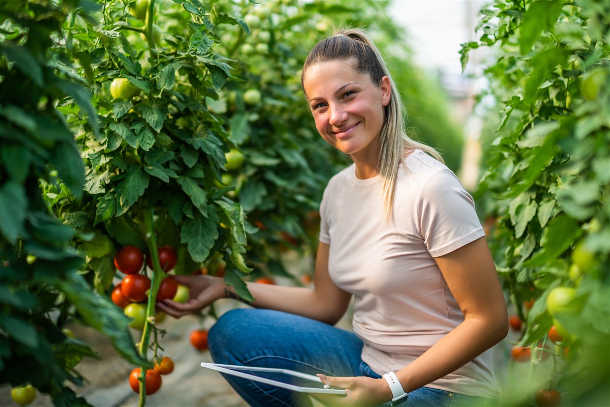 Agriculture la plus rentable