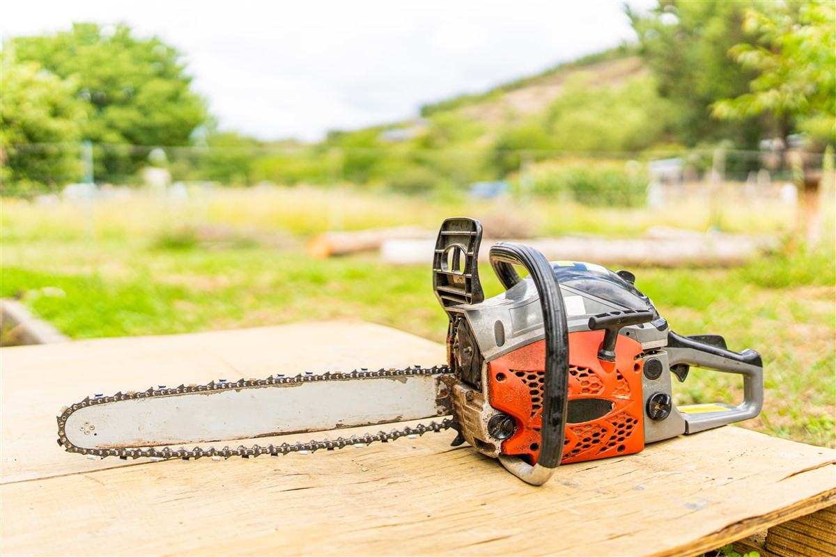 Tronçonneuse de jardin : un outil indispensable pour jardiner